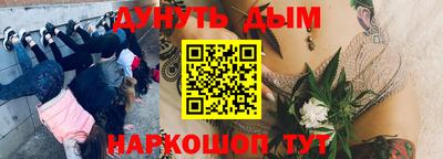 стафф Усть-Илимск