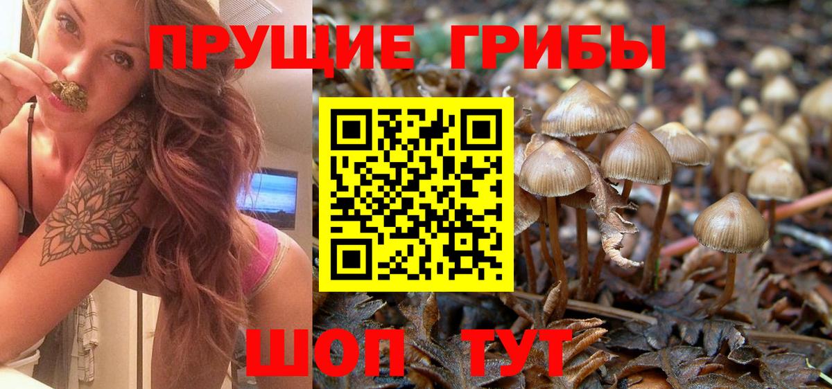 Галлюциногенные грибы ЛСД  Вход с VPN  Анапа 